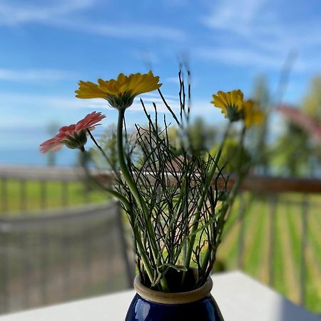 Appartementhotel Roehrenbach Immenstaad am Bodensee Zewnętrze zdjęcie