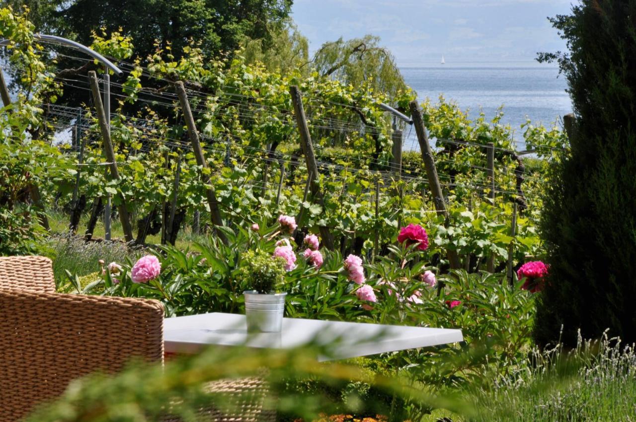 Appartementhotel Roehrenbach Immenstaad am Bodensee Zewnętrze zdjęcie