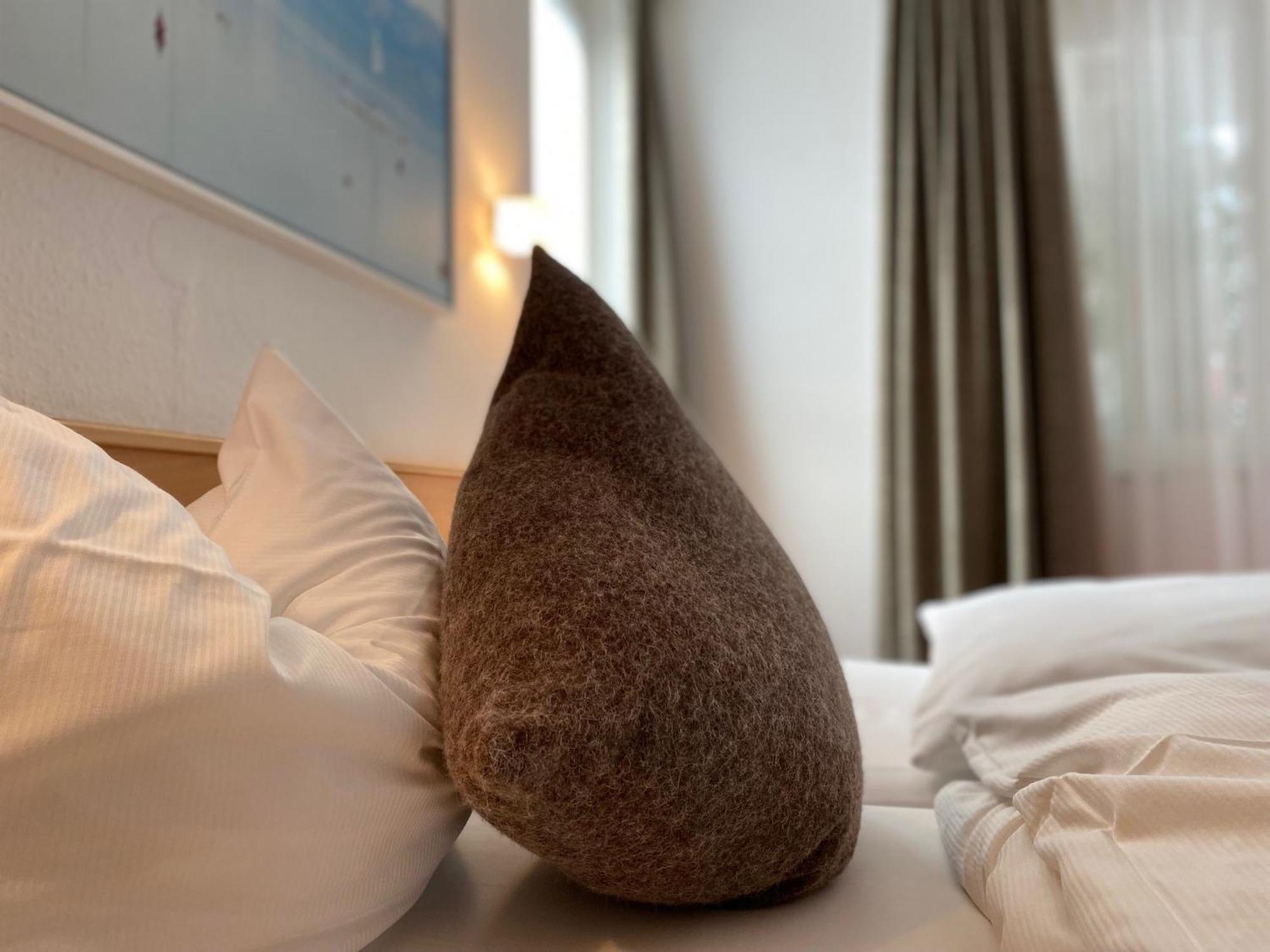 Appartementhotel Roehrenbach Immenstaad am Bodensee Zewnętrze zdjęcie