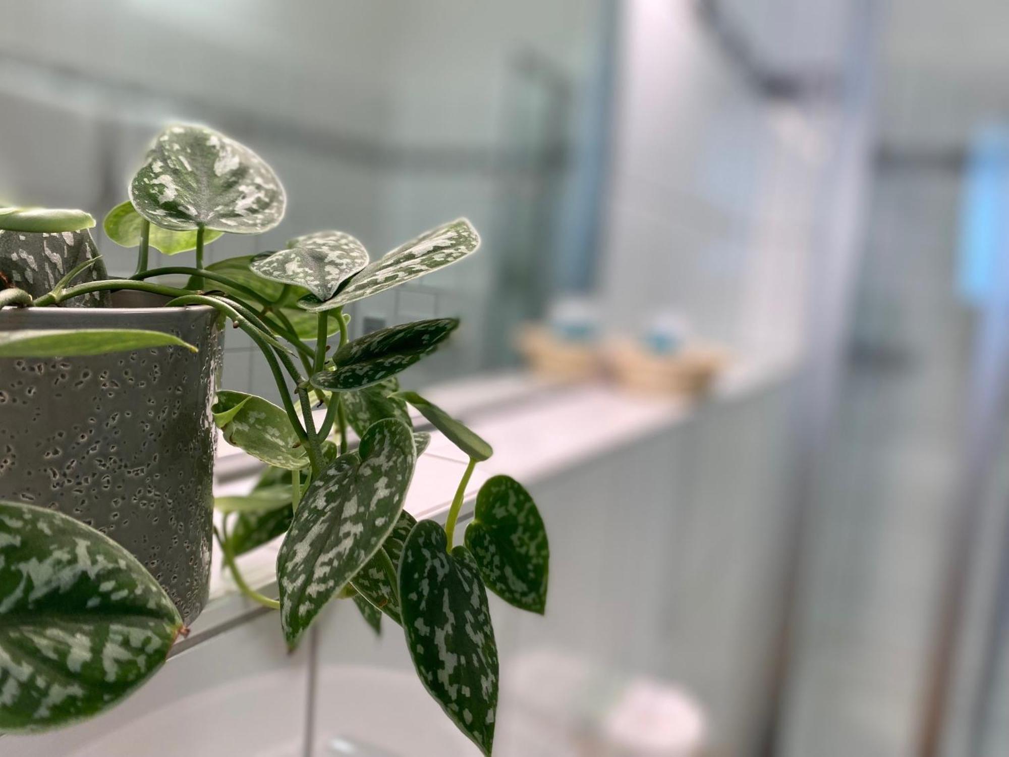 Appartementhotel Roehrenbach Immenstaad am Bodensee Zewnętrze zdjęcie